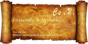 Csincsák Urzula névjegykártya